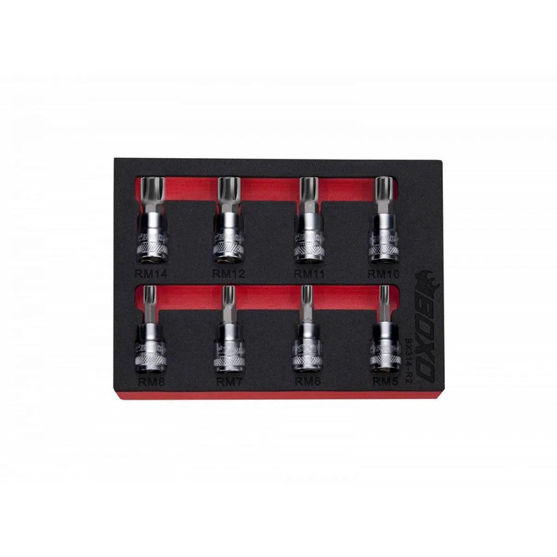 8-Piece 3/8" Drive Ribe Bit Socket Set | 1/9th EVA Foam