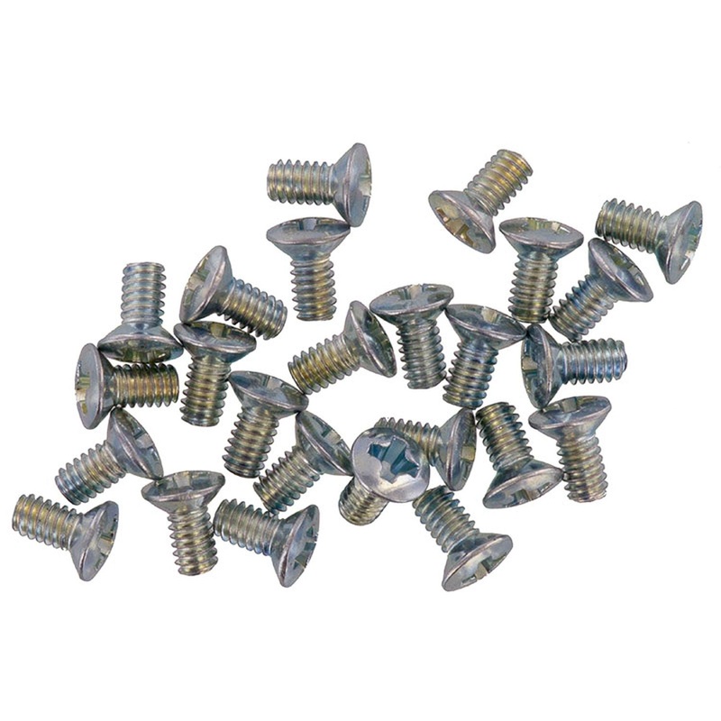 2 x 4mm Phillips Oval Head Screw (Pkg. of 25)