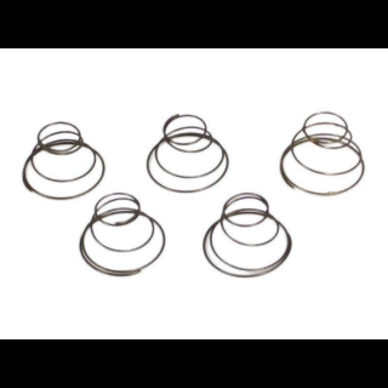 Ridgid 41720 Package of 5 Springs