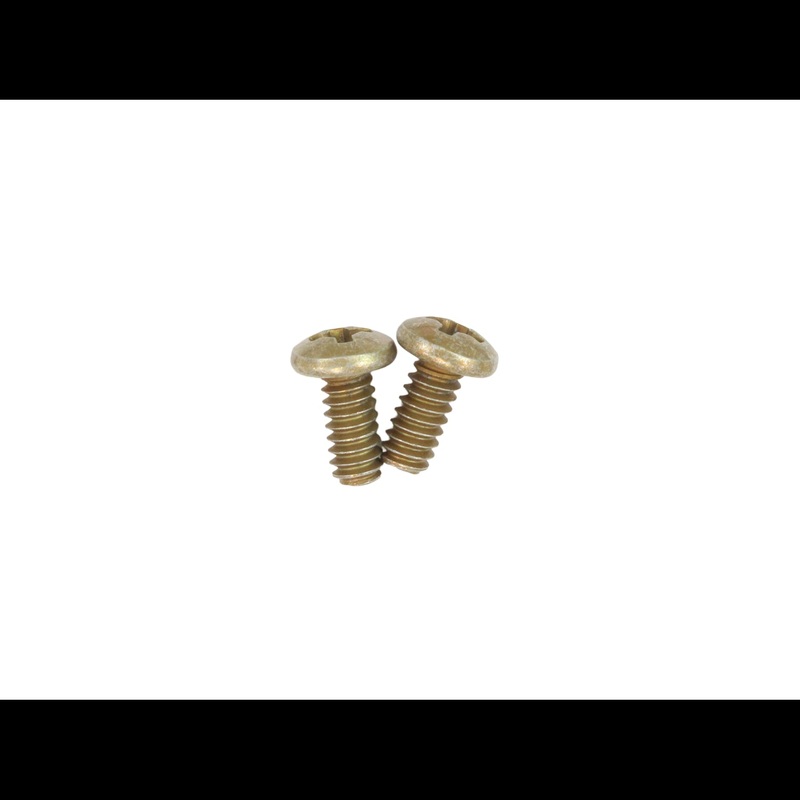 Ridgid 60637 Pack of  2 Self Tapping Screw