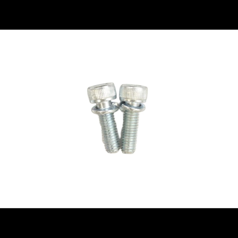 Ridgid 75267 Package of 2 Screws